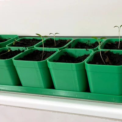 Bộ Khay Ươm Hạt Giống