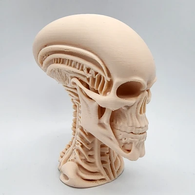 Tượng Đầu Người Ngoài Hành Tinh Khung Xương