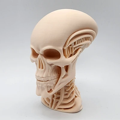 Tượng Đầu Người Ngoài Hành Tinh Khung Xương