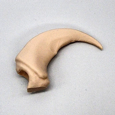 Móng Vuốt Gấu Bắc Mỹ Giả Lập