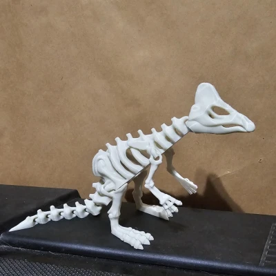 Mô hình Xương Khủng Long Khớp Nối 6