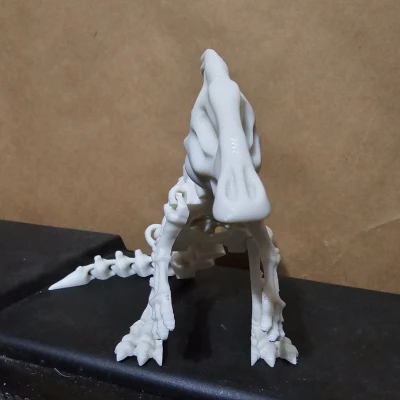 Mô hình Xương Khủng Long Khớp Nối 6