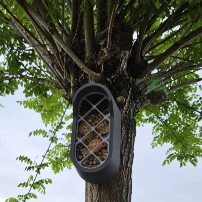 Thành phố côn trùng: Tiền đồn côn trùng đô thị