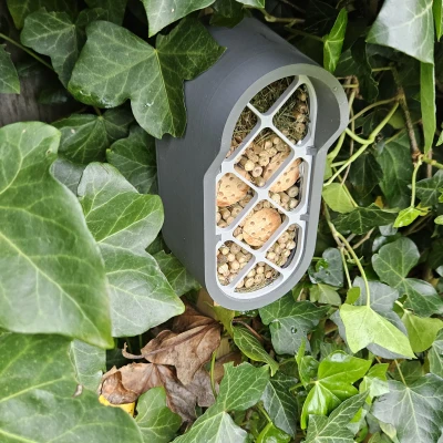 Thành phố côn trùng: Tiền đồn côn trùng đô thị