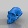 Mô hình Sọ Australopithecus Afarensis - Thumbnail 3