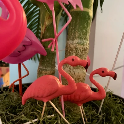 Hồng Hạc Remix Chân Tiến/Lùi