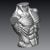 Tượng Ngực Cơ Bắp Nam - Thumbnail 1