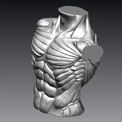 Tượng Ngực Cơ Bắp Nam