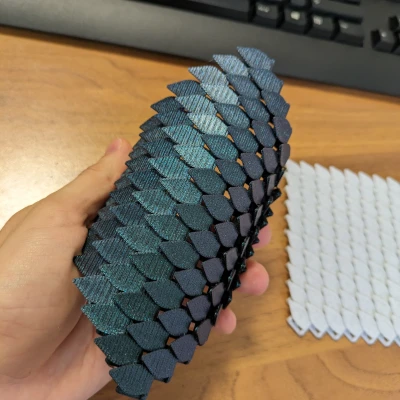 Áo Khoác Da Rồng