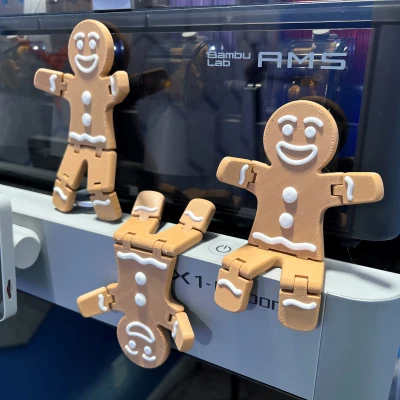 Bánh Gừng Tết Dễ Thay Đổi Sợi PLA