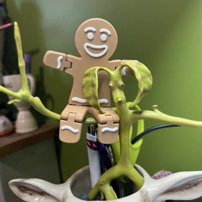 Bánh Gừng Tết Dễ Thay Đổi Sợi PLA