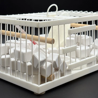 Mô hình 'Why Not Sneeze, Rose Sélavy?' của Marcel Duchamp