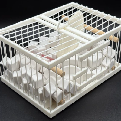 Mô hình 'Why Not Sneeze, Rose Sélavy?' của Marcel Duchamp