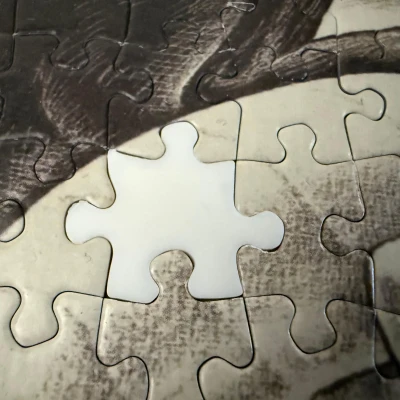 Miếng ghép cho bộ xếp hình Escher