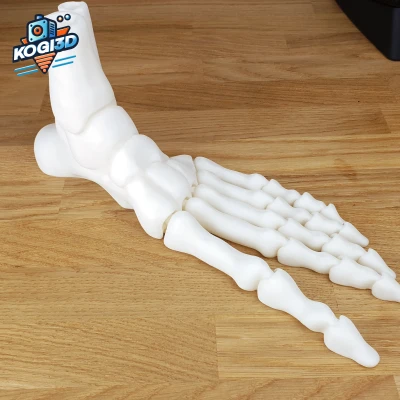 Bàn Chân Bộ Xương Khớp Toàn Diện In-Place