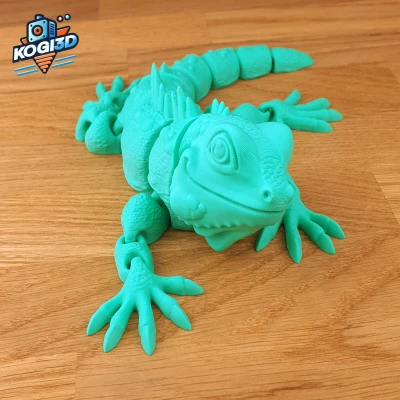 Thằn Lằn Khớp Lắc Léo In Luôn