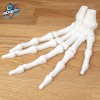 Mô Hình Bàn Tay Bộ Xương Khớp Hoạt Hình In Liền Mạch - Thumbnail 7
