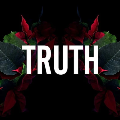 Bánh Xe Wheelie Bar Hosim X07 Cỡ Lớn