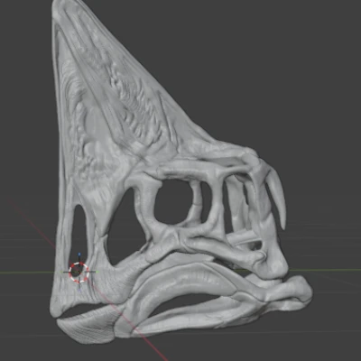 Hộp Sọ Oviraptor "Spike"