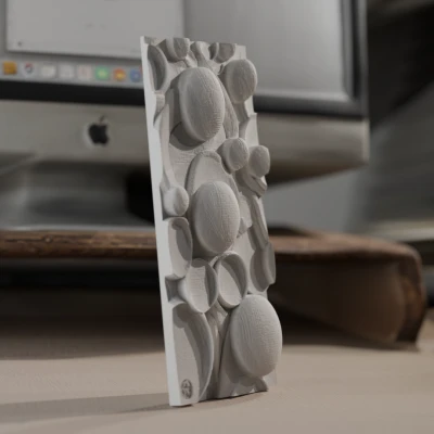 Phù điêu bong bóng hữu cơ