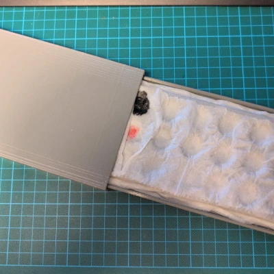 Khay sơn ẩm cho người thích tự làm