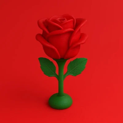 Hoa hồng nở rộ - Đa sắc