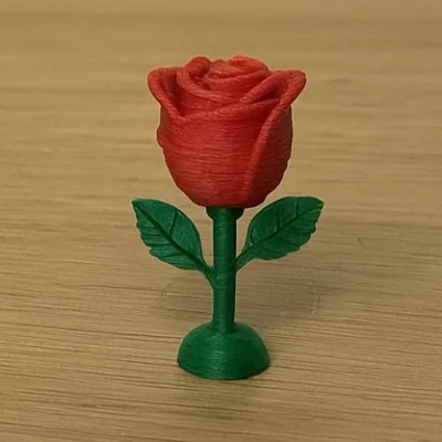 Hoa hồng nở rộ - Đa sắc