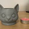 Chậu Đầu Mèo – Chậu Cây In 3D - Thumbnail 2