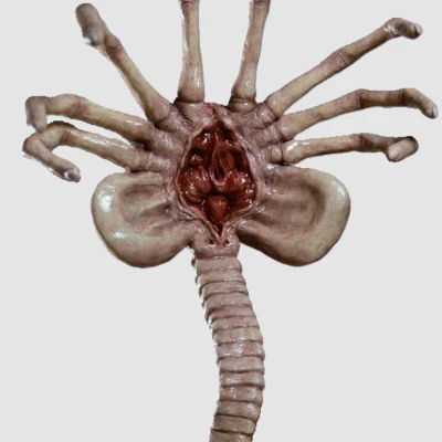 Tượng Em Bé Người Ngoài Hành Tinh Face Hugger