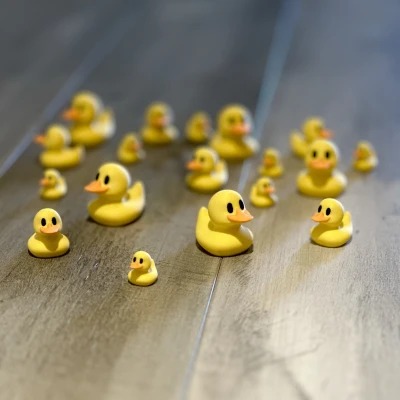 Vịt May Mắn - In Vịt Nhỏ Xinh Cho May Mắn!