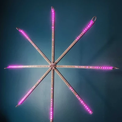 Pháo hoa kỹ thuật số