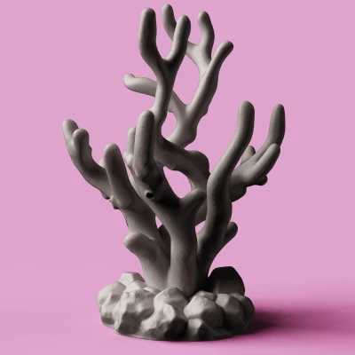 Giá đỡ tai nghe San Hô | Nghệ thuật Biển Tinh tế