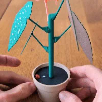 Chậu Hoa Mười Giờ Với Bí Mật