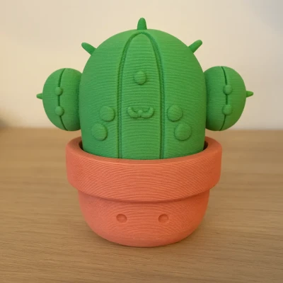 Xương Rồng Dễ Thương Trong Chậu