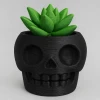 Chậu Cây Đầu Lâu Dễ Thương (Skull Plant Buddy) - Thumbnail 1