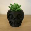 Chậu Cây Đầu Lâu Dễ Thương (Skull Plant Buddy) - Thumbnail 2