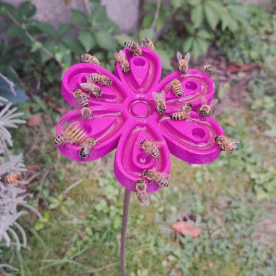 Chỗ Cấp Nước Cho Ong Trong Vườn