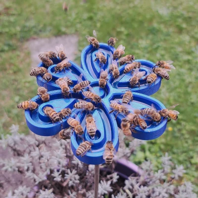 Chỗ Cấp Nước Cho Ong Trong Vườn