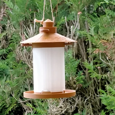 Máng ăn chim - Bird feeder