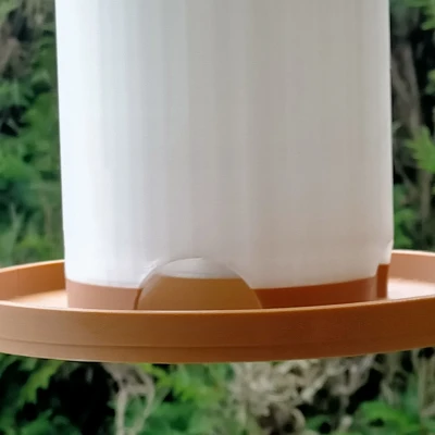 Máng ăn chim - Bird feeder