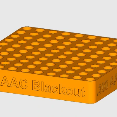 Khay đạn .300 AAC Blackout