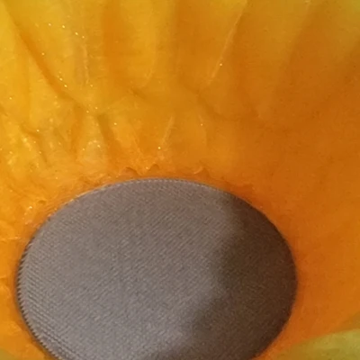 Tô Hoa Hướng Dương