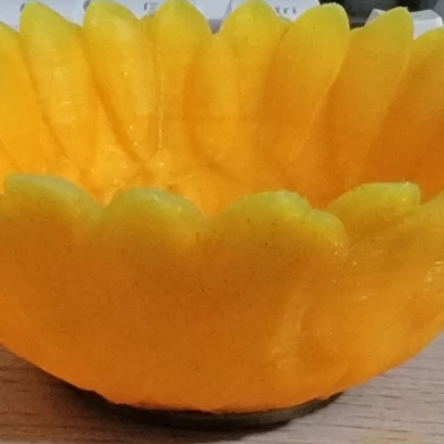 Tô Hoa Hướng Dương