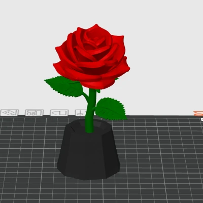 Hoa hồng in 3D tùy chỉnh đa sắc