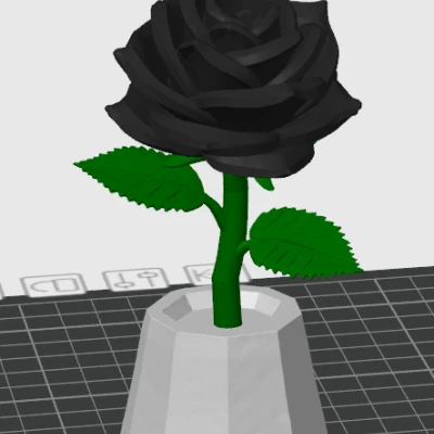 Hoa hồng in 3D tùy chỉnh đa sắc