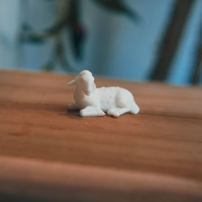 Mô Hình Cừu Nằm