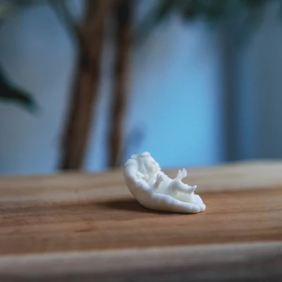 Mô Hình Nhỏ Chúa Hài Đồng