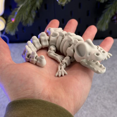 Cá Sấu Bộ Xương Khớp Nối