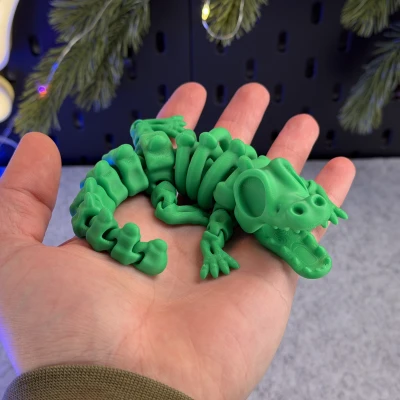 Cá Sấu Bộ Xương Khớp Nối