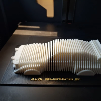 Mô hình AUDI QUATTRO S1 Cũ